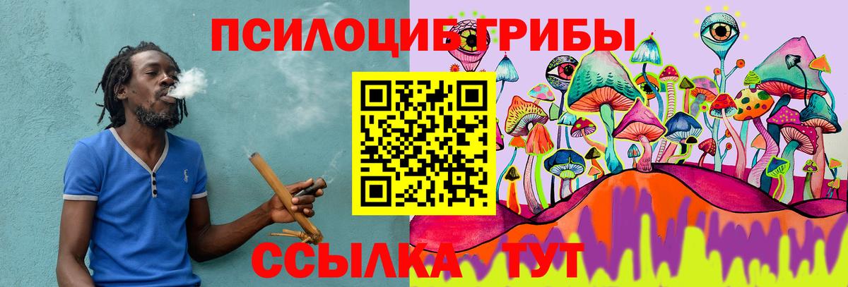 Галлюциногенные грибы Psilocybe Сухой Лог