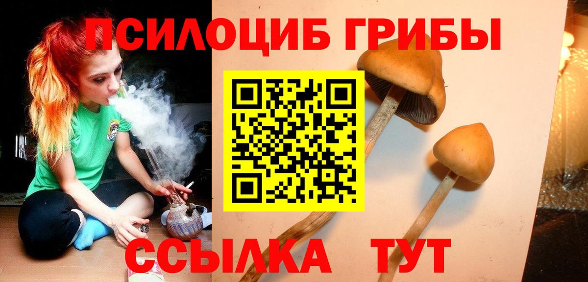 Сухой Лог  закладки  Вход с VPN  Псилоцибиновые грибы мухоморы 